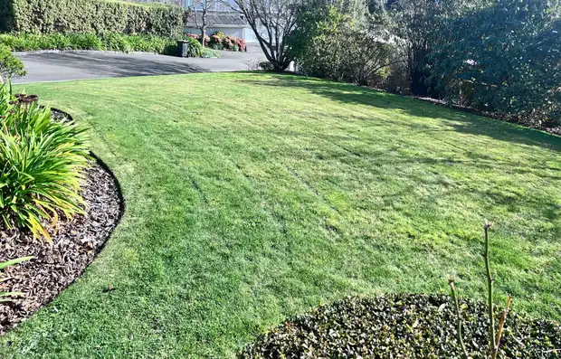 Lawns and More completed lawn mowing job in Christchurch