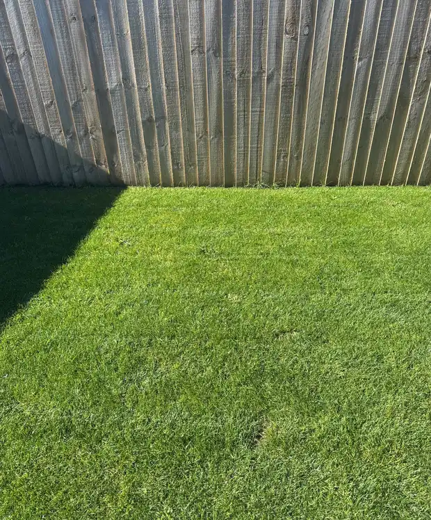 Lawns and More completed lawn mowing job in Christchurch