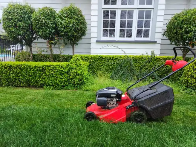 Lawns and More mower on a trimmed lawn beside neat hedges in Christchurch
