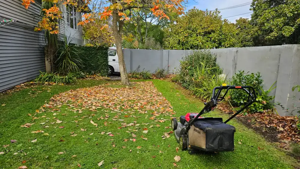 Lawns and More mower clearing an autumn Christchurch lawn