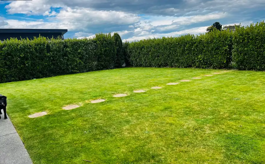 Lawns and More lawn mowing job in Christchurch, with hedges and a stepping-stone path